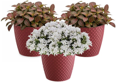 Prosperplast bloempot / plantenpot - 3x - kunststof - diep rood - Dia 15.7 cm en hoogte 13.8 cm - binnen/buiten
