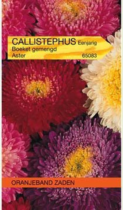 Callistephus, Aster Boeket gemengd