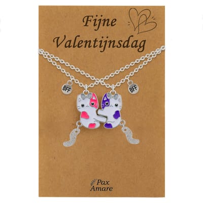 Koppel Ketting voor 2 'Fijne Valentijnsdag' - Magnetische Katjes - Vriendschapsketting op Cadeau Kaartje - 45cm + 5cm verstelbaar - Zilverkleurig - BFF Hanger - Pax Amare