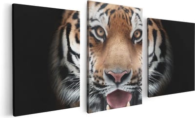 Artaza Canvas Schilderij Drieluik Tijgerkop - Tijger - 120x60 - Foto Op Canvas - Canvas Print