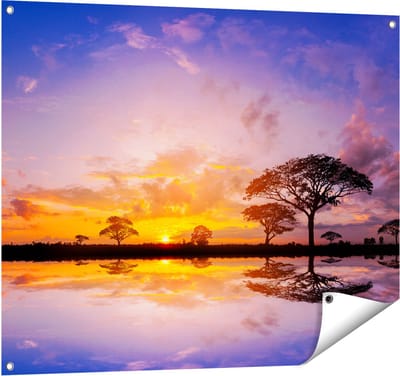 Gards Tuinposter Silhouet van Bomen tijdens Zonsondergang - 100x80 cm - Tuindoek - Tuindecoratie - Wanddecoratie buiten - Tuinschilderij