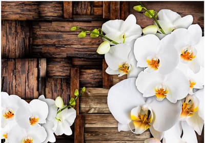 Fotobehang - Blooming orchids.