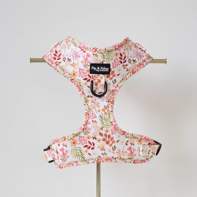 Pip & Palms - Hondenharnas Beautiful Blossom - Wit - Maat XS - Hondentuig - Verstelbaar - Y Tuig Hond - Zachte Voering - voor Kleine honden