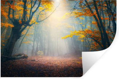 Muurstickers - Sticker Folie - Bos - Mist - Herfst - 30x20 cm - Plakfolie - Muurstickers Kinderkamer - Zelfklevend Behang - Zelfklevend behangpapier - Stickerfolie