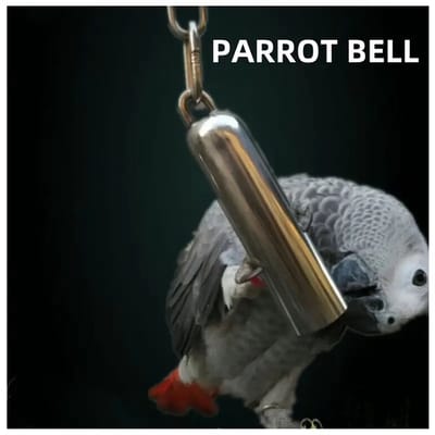 @ Lu’s Today® - Basic Pets Play Essentials – Papegaaienbel – RVS Speelbel – 8 × 1,7 cm – Inclusief 18 cm Ketting – Vogel Speelgoed