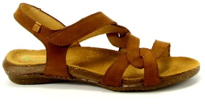 El Naturalista N5079