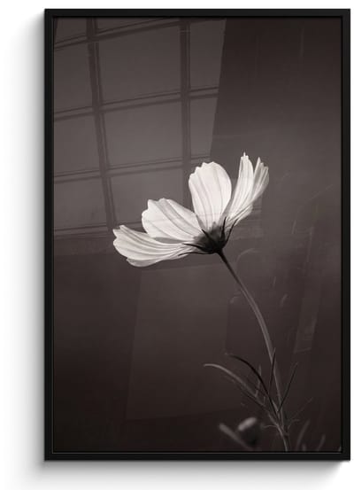 Poster in lijst - Fotolijst 80x120 cm - Posters - Bloem - Minimalistisch - Zwart - Wit - Posterlijst zwart - Decoratie - Wanddecoratie woonkamer - Muurdecoratie slaapkamer