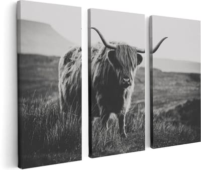 Artaza Canvas Schilderij Drieluik Schotse Hooglander Koe - Zwart Wit - 120x80 - Foto Op Canvas - Canvas Print