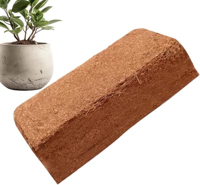 Kokos Substraat - Planten Grond - Gezonde Groei - Voorkomt Wortelrot - 300 gram - Bruin