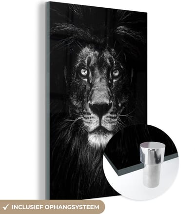 MuchoWow® Glasschilderij 40x60 cm - Schilderij acrylglas - Dier - Portret - Zwart - Wit - Foto op glas - Schilderijen