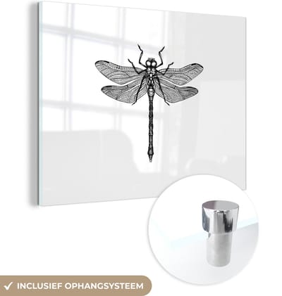 MuchoWow® Glasschilderij 40x30 cm - Schilderij acrylglas - Libelle - Insecten - Retro - Zwart wit - Foto op glas - Schilderijen