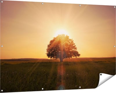 Gards Tuinposter Zonsondergang Achter een Grote Boom - 150x100 cm - Tuindoek - Tuindecoratie - Wanddecoratie buiten - Tuinschilderij