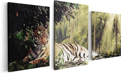 Artaza Canvas Schilderij Drieluik Tijger In De Jungle Met Zonneschijn - 120x60 - Foto Op Canvas - Canvas Print