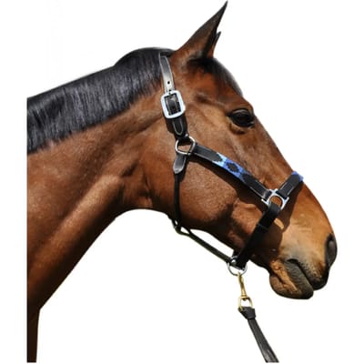 Halster voor paarden Flags&Cup Chukka