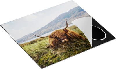 Chefcare Inductie Beschermer Schotse Hooglander ligt in het Gras - 60x50 cm - Afdekplaat Inductie - Kookplaat Beschermer - Inductie Mat