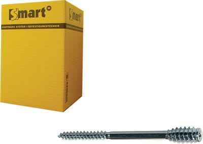 SMART | Afstandschroef T-drive T25 Ø 6x250 Zn | 25 st