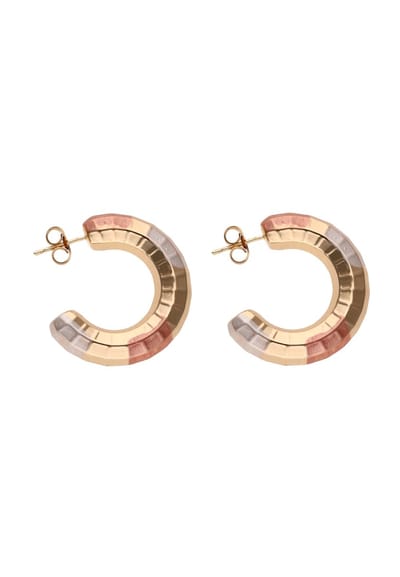 Gaya Earrings