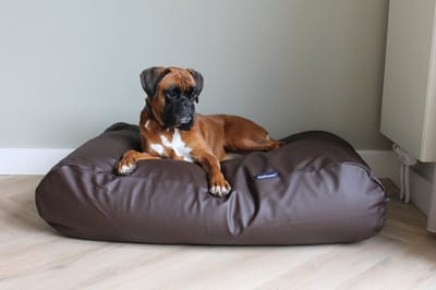 Dog's Companion Hondenkussen / Hondenbed - XS - 55 x 45 cm - Kunstleer Chocolade Bruin Leather Look