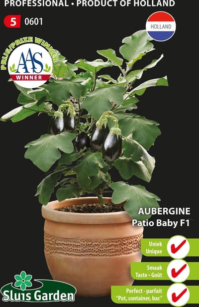 Sluis Garden - Aubergine Patio Baby F1 (pot)