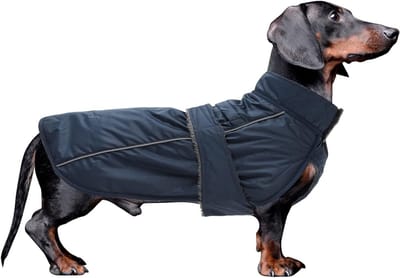 Hondenjassen Waterdicht voor Teckels, Winterjas met Gewatteerde Fleece Voering, Verstelbare Outdoor Kleding met Buikbescherming, Navy, M