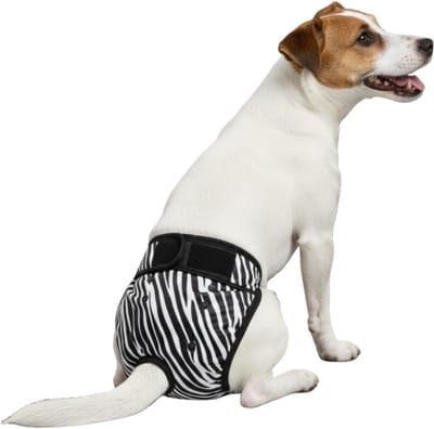 Loopsheidbroekje Hond - M - Hondenluier - Zebra - Wasbaar - Verstelbaar in lengte en breedte - Bij loopsheid en incontinentie