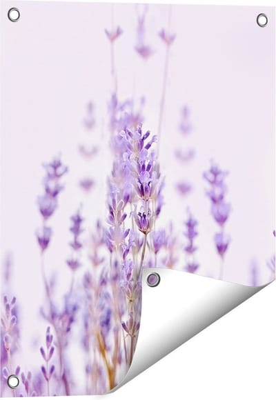 Gards Tuinposter Paarse Lavendel Bloemen - 40x50 cm - Tuindoek - Tuindecoratie - Wanddecoratie buiten - Tuinschilderij