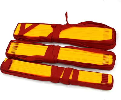 Snelheidsladder - Agility Ladder - Sport Training - Verstelbare Sport Ladder - 5 Meter - Geel Rood