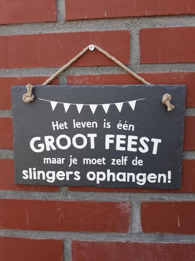 Leisteen - Leven is één groot feest