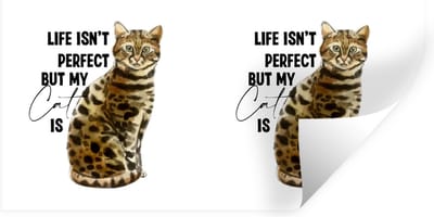 Muurstickers - Sticker Folie - Katten - Life isn't perfect but my cat is - Spreuken - Quotes - 40x20 cm - Plakfolie - Muurstickers Kinderkamer - Zelfklevend Behang - Zelfklevend behangpapier - Stickerfolie