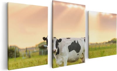 Artaza Canvas Schilderij Drieluik Zwart Wit Koe In De Wei Bij Zonsopkomst - 120x60 - Foto Op Canvas - Canvas Print