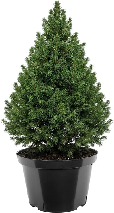 Garronda Ronde kunststof bloempot met drainagegaten voor tuin (Zwart, Ø41 x 27 cm (25L)) GD-KW-RL