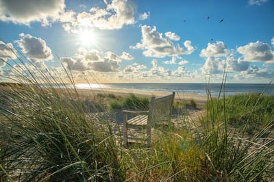 Fotobehang Bankje in de duinen Vlieland 250 x 260 cm - € 175,--