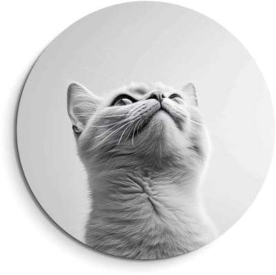 KitchenArt - Silver Whisker – Muurcirkel Binnen - ø 40 cm - Wandcirkel - Mét Ophangsysteem - Wanddecoratie - Muurdecoratie