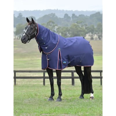 Afneembare buitendeken voor paard met hals Weatherbeeta Comfitec Essential 220g