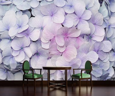 Flowers Hydrangea Purple Pink Photo Wallcovering