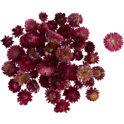 Strobloemhoofdjes - Roze