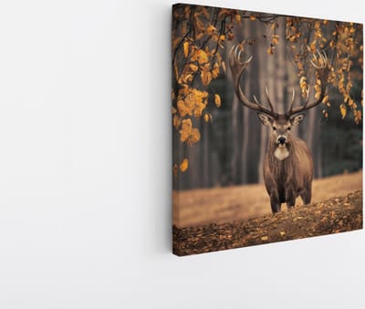 Saammp Canvas Schilderij - Hert in de wei tijdens de herfst tijden - Natuur - Dieren - 20x20 - Foto op canvas - Wanddecoratie - Muurdecoratie Woonkamer - Slaapkamer decoratie - Canvas Print