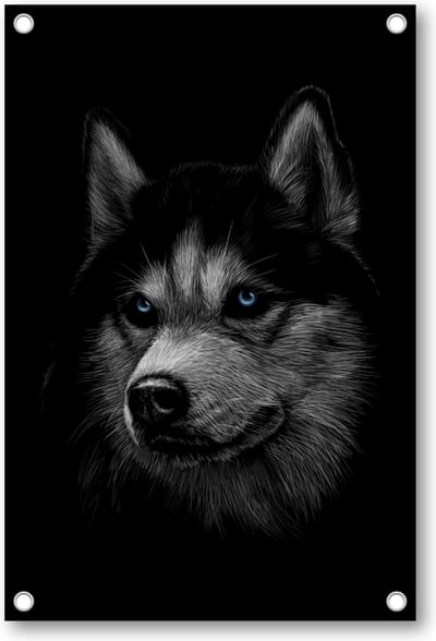 Siberische husky met blauwe ogen - Tuinposter 60x90 - Wanddecoratie - Dieren