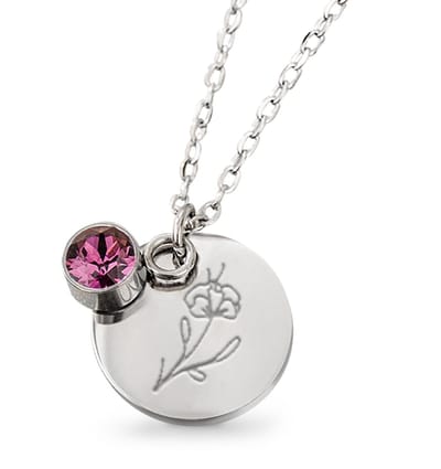 Geboortesteen met Geboortebloem Ketting I Februari