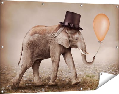 Gards Tuinposter Olifant met een Oranje Ballon - Hoedje - 120x80 cm - Tuindoek - Tuindecoratie - Wanddecoratie buiten - Tuinschilderij