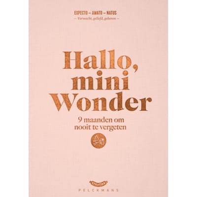 Hallo, Mini Wonder - Dieter Coppens