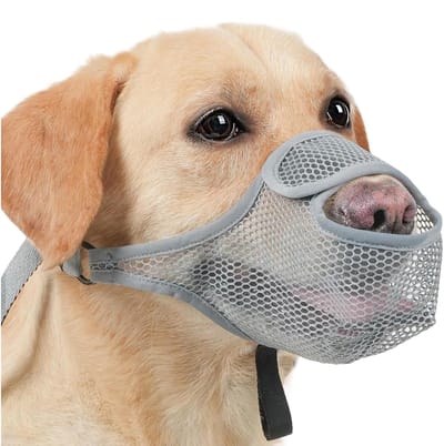 Hondenmuilkorf - Ademende Snuit - Gedragstraining Hond - Verstelbaar Ontwerp - Maat XL - Grijs