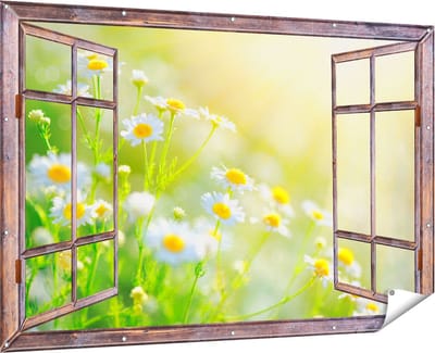 Gards Tuinposter Doorkijk Witte Kamille Bloemen met Zonneschijn - 180x120 cm - Tuindoek - Tuindecoratie - Wanddecoratie buiten - Tuinschilderij