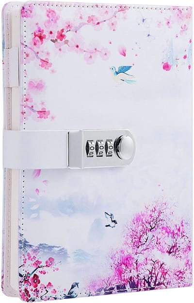 Dagboek met Code voor Meisjes, PU Leren Notitieboek, Perfect voor School, Kantoor en Verjaardagscadeau, 215 x 150 mm, Creatief Schrijven, Persoonlijke Aantekeningen, Geheime Berichten