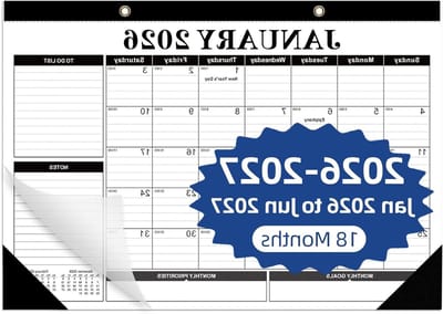 Bureaukalender 2025-2026 - Wandplanner Kantoorplanner - Afspraken Plannen - Ruime Schrijfruimte - 432 x 305 cm - Wit