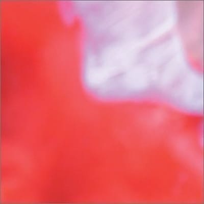 Tigersmilk - Tigersmilk (CD)