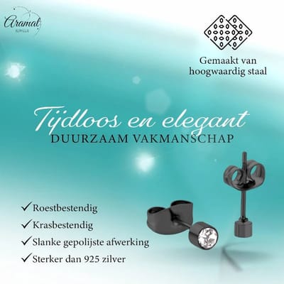 Aramat Jewels | Oorbellen | Kleine Stalen Oorbellen met Transparant Kristal | 3mm | | | |3mm | Staal | Kinderen, Volwassenen | Verkleurd niet
