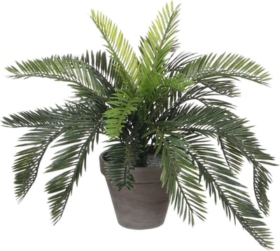 Mica Decorations Kunstplant Cycaspalm - groen - H37 cm - in pot - kamerplant - kantoorplant