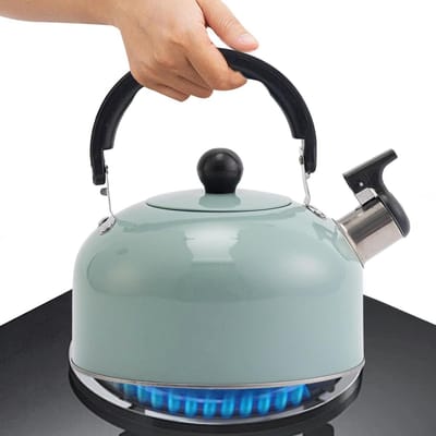 Waterkoker Fluitend - Theepot RVS - Koffie en Thee - Snelle Kooktechnologie - 3 Liter Capaciteit - Groen