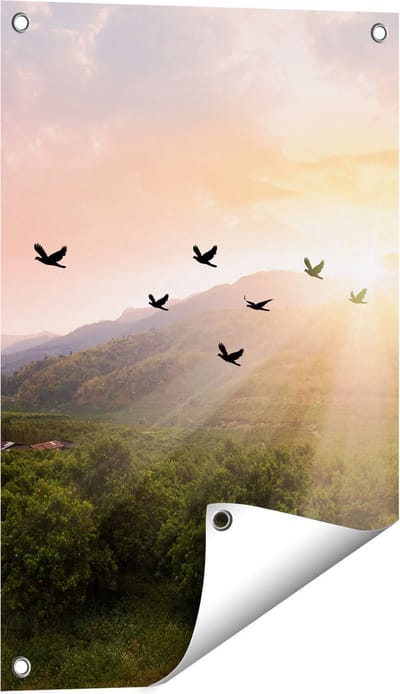 Gards Tuinposter Silhouet Zwerm Vogels bij Zonsondergang - 40x60 cm - Tuindoek - Tuindecoratie - Wanddecoratie buiten - Tuinschilderij